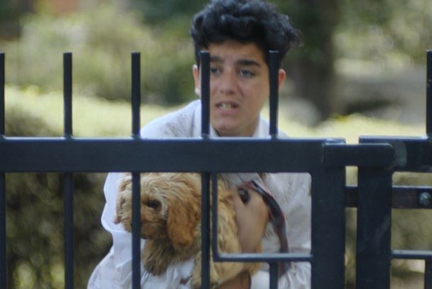 still / picture for Stray