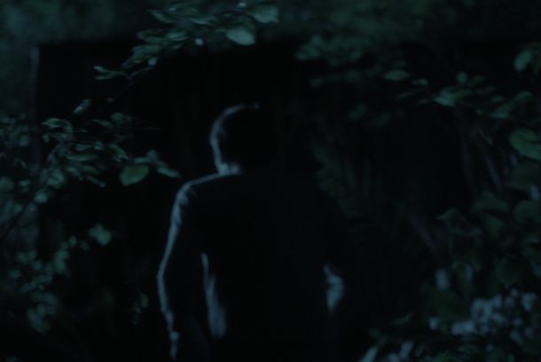 still / picture for The Wonderful