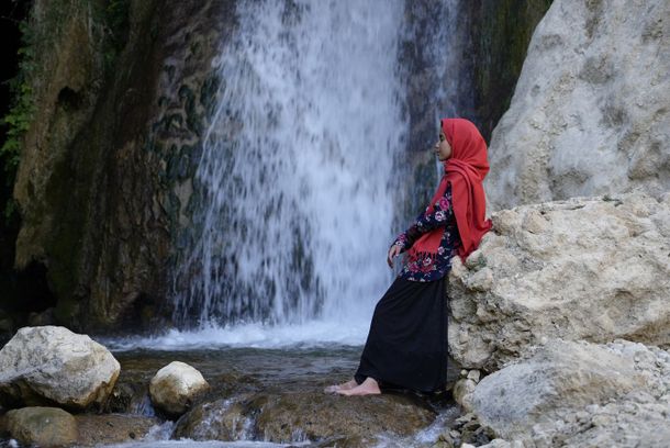 still / picture for The Dreams of the Wild Oaks