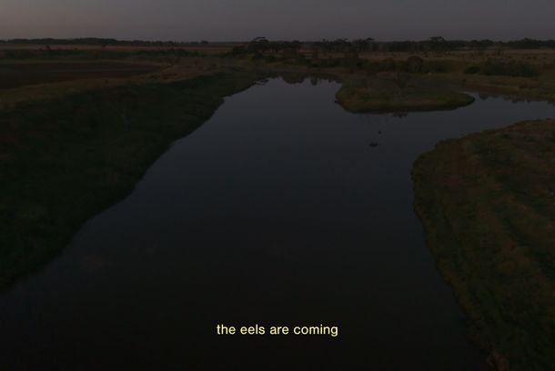 still / picture for Metabolism