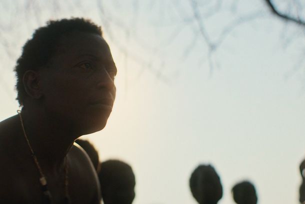 still / picture for Mosquito