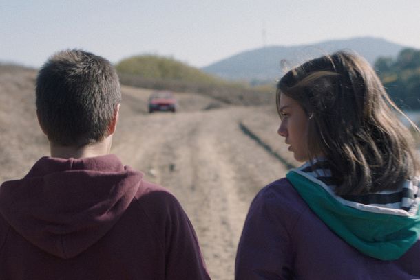 still / picture for Armadila