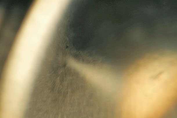 still / picture for Revenants on Trial