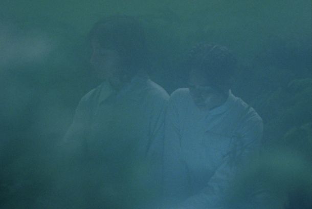 still / picture for Lemna