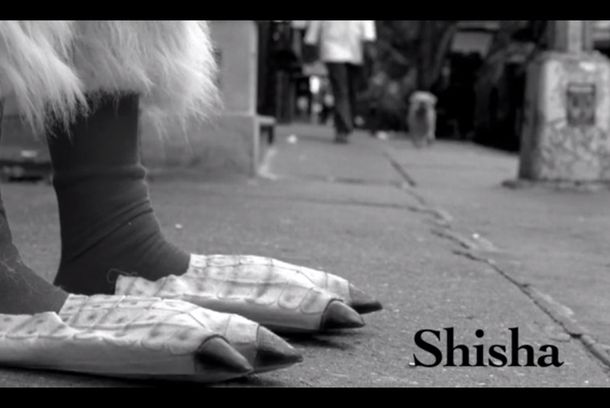 still / picture for SHISHA