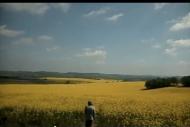 still / picture for Malwina i Filip