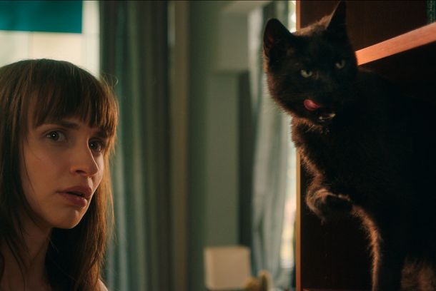 still / picture for Cicaverzum