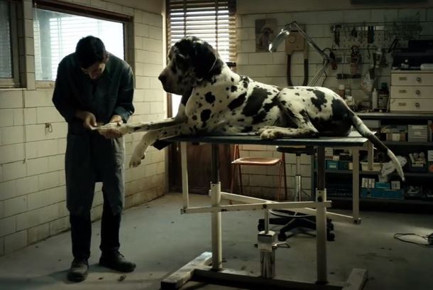 still / picture for Dogman