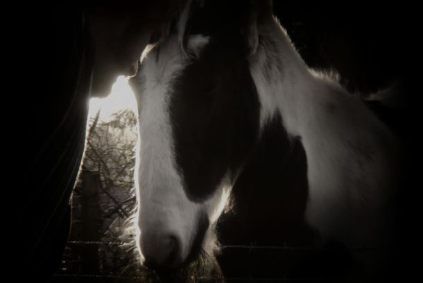 still / picture for Good Evening
