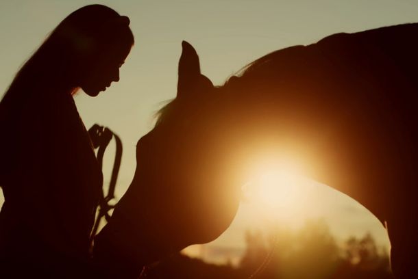 still / picture for Beyond Black Beauty