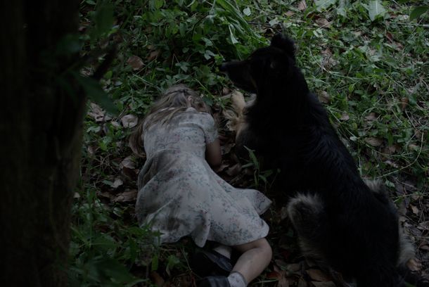 still / picture for Lloren la locura perdida de estos campos