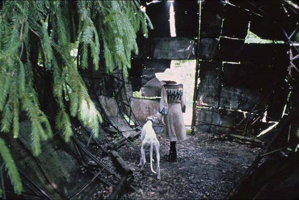 still / picture for Reflection Wood Chronicles