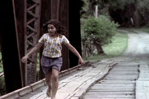 still / picture for Dez elefantes