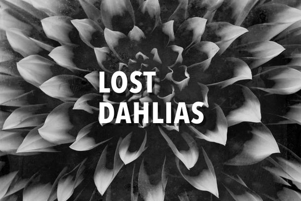 still / picture for Lost Dahlias