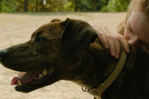 still / picture for Ulysse doit partir