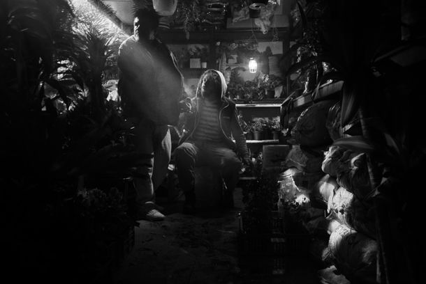 still / picture for Paloquemao