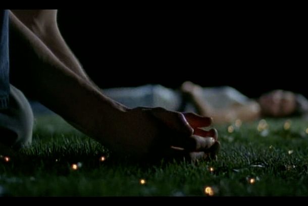 still / picture for Starfish