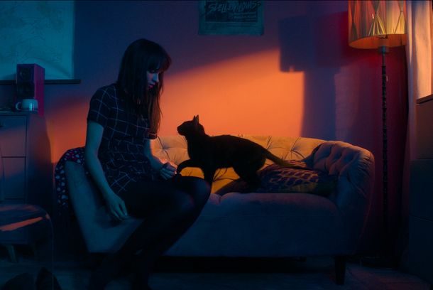 still / picture for Cicaverzum