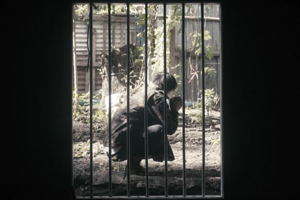 still / picture for Eclipse