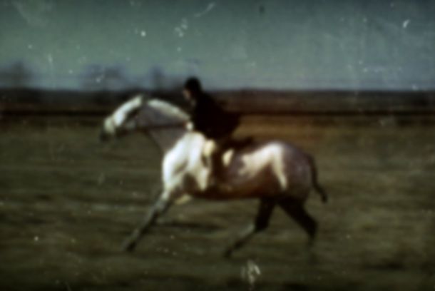 still / picture for Heart of a Dog