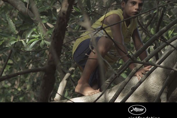 still / picture for ANFIBIO