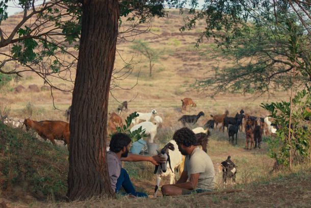 still / picture for Sabar Bonda