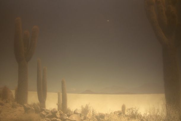 still / picture for [ˈdʊŋkl̩ˌdɔɪ̯ʧlant]