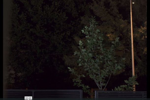 still / picture for Luna de miere