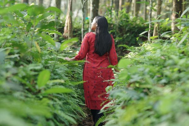 still / picture for Kurinji