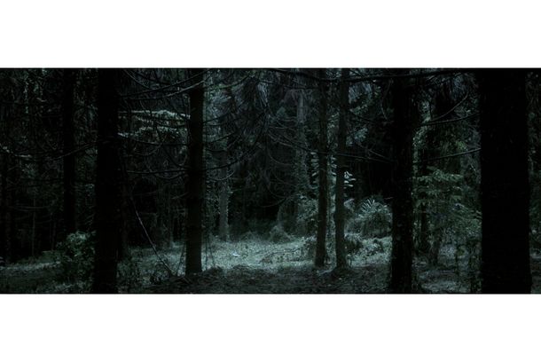 still / picture for The Spirit of the Woods