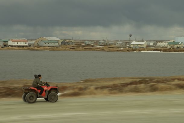 still / picture for Losing Alaska