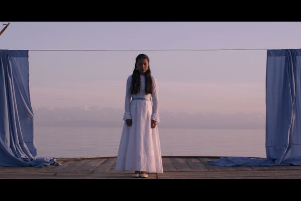 still / picture for Seagull