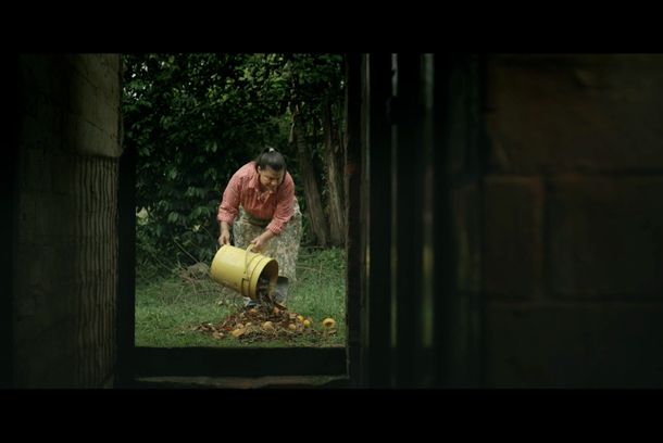 still / picture for Naranjas