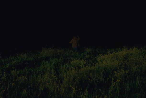 still / picture for Kismet