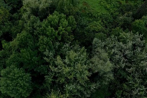 still / picture for Melancholic drone