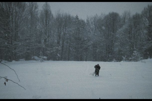 still / picture for Chamomile