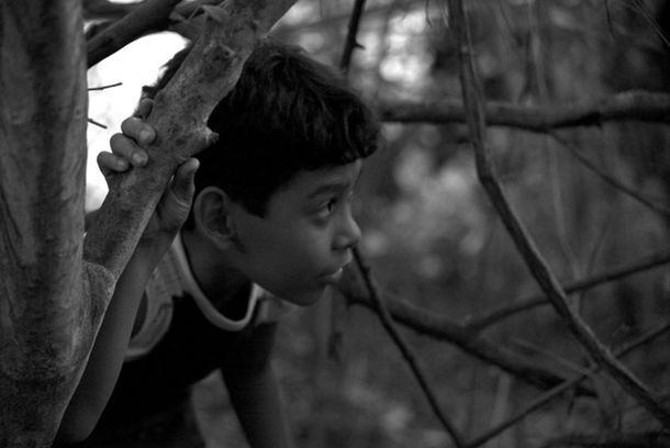 still / picture for A Descoberta