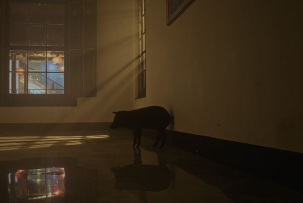 still / picture for Sawo Matang