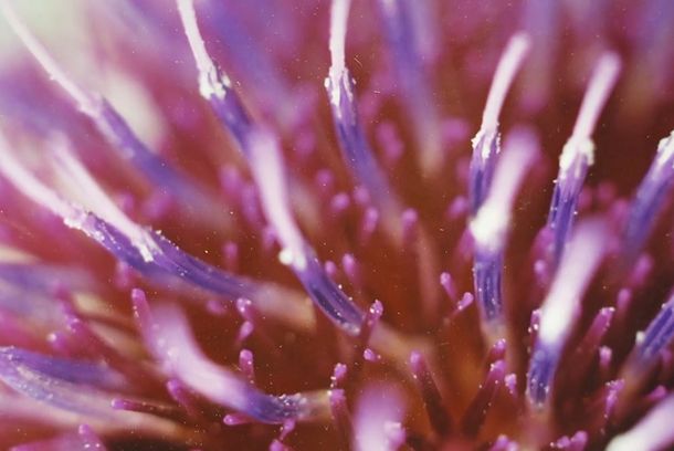 still / picture for depuis Distance