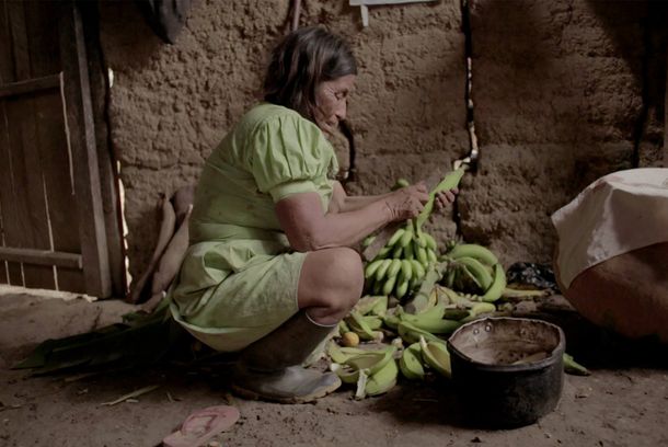 still / picture for Rio Verde: El Tiempo de los Yakurunas