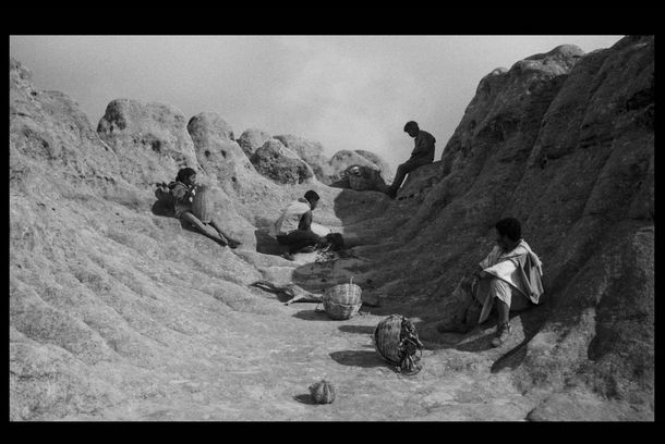 still / picture for os vivos caminham a terra