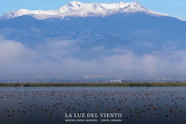 still / picture for La Luz del Viento