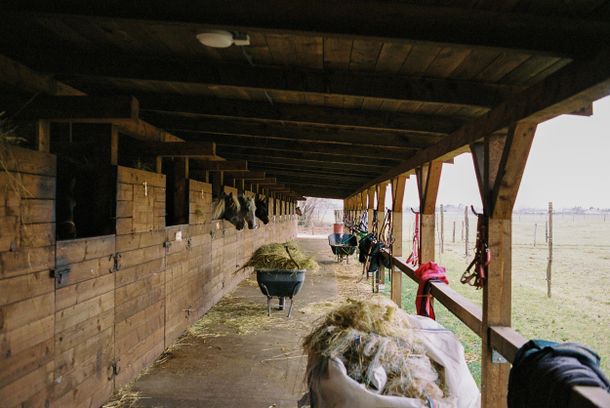 still / picture for Cowgirl