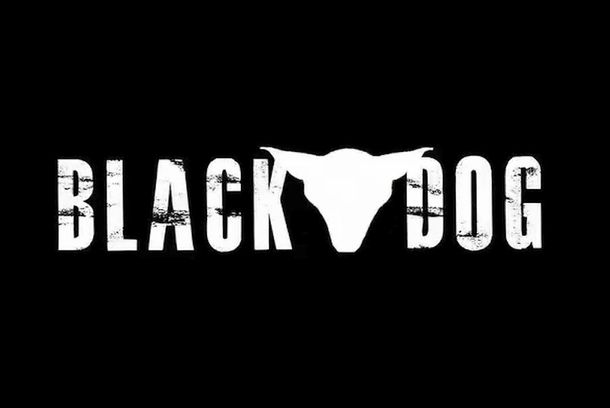 still / picture for Black Dog