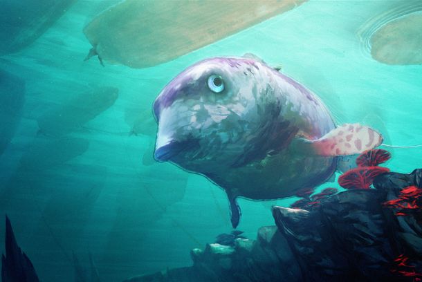 still / picture for FISCHKOPP