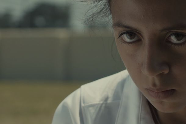 still / picture for Lagartija