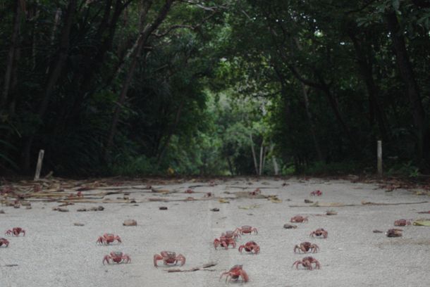 still / picture for Island of the hungry ghosts