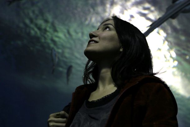still / picture for Akvaryum