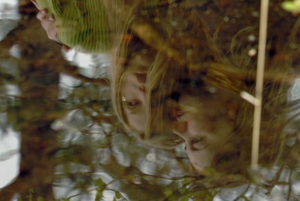 still / picture for Waterlillies/ Vannliljer