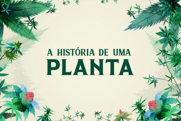 still / picture for A História de uma Planta